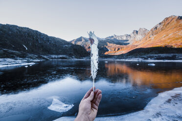 Norwegen, Lofoten-Inseln, Männerhand hält gefrorene Feder - WVF01062