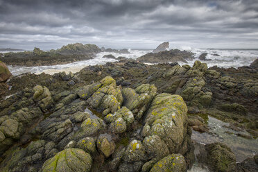 Vereinigtes Königreich, Schottland, Ostküste - MJOF01483