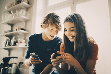 Close-up of friends using smart phone while sitting at kitchen counter against window - MASF00744