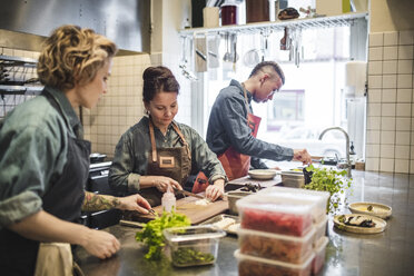 Multiethnische Köche bei der Zubereitung von Speisen an der Küchentheke eines Restaurants - MASF00893