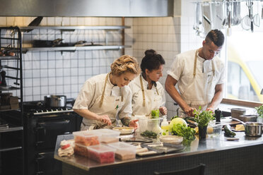 Multi-ethnic chefs preparing food on kitchen counter at restaurant - MASF00896