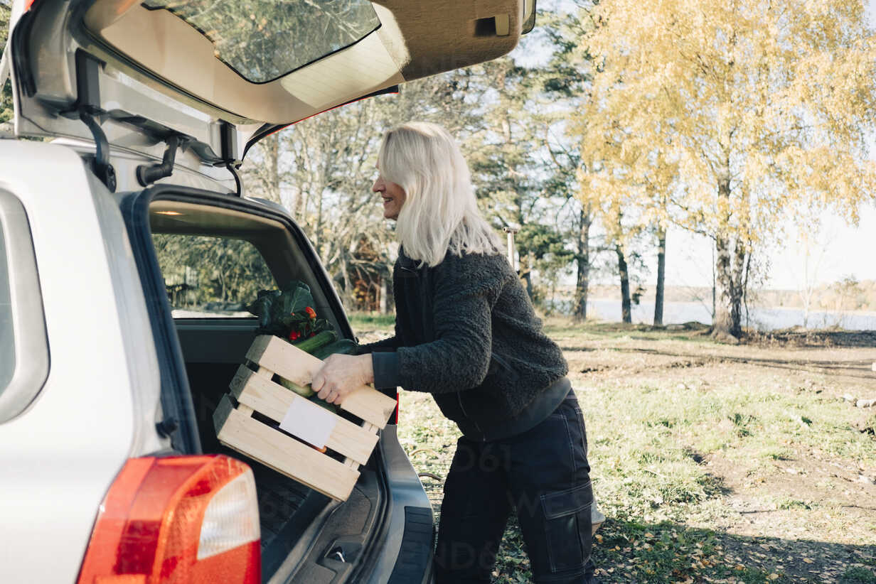 Seitenansicht einer reifen Frau, die eine Kiste mit Bio-Gemüse in den  Kofferraum eines Autos lädt, lizenzfreies Stockfoto