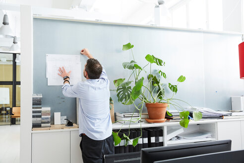 Rückansicht eines männlichen Architekten bei der Arbeit in einem kreativen Büro - MASF01290