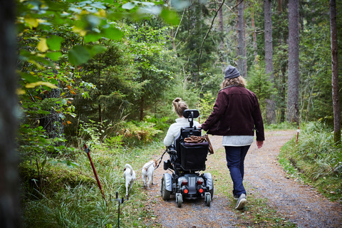 Rückansicht eines männlichen Hausmeisters mit einer behinderten Frau und einem Hund im Wald, lizenzfreies Stockfoto