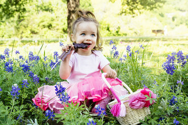 Mädchen isst Schokoladen-Osterhase, während sie auf einem Feld inmitten von Blumen sitzt - CAVF35265