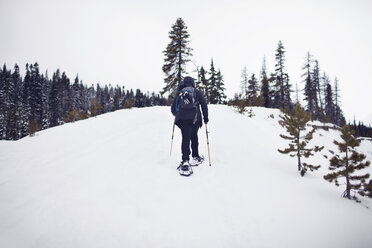 Rückansicht einer Schneeschuhwanderin - CAVF35272