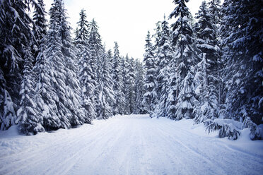 Leere Straße im Winter - CAVF35289