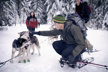 Mid-adult man petting dogs in forest - CAVF35304