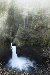 Erhöhter Blick auf einen Wasserfall im Wald - CAVF35367