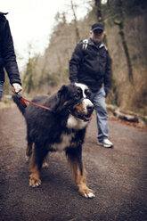 Zwei Männer mit Hund beim Spaziergang im Wald - CAVF35384