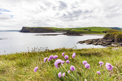 Schottland, Aberdeenshire, Küste bei Pennan, lizenzfreies Stockfoto