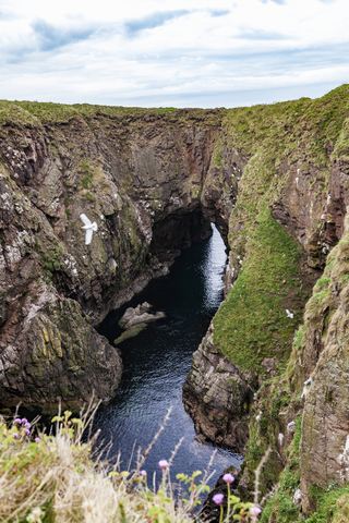 Schottland, Aberdeenshire, Bullers of Buchan, Eingestürzte Meereshöhle, lizenzfreies Stockfoto