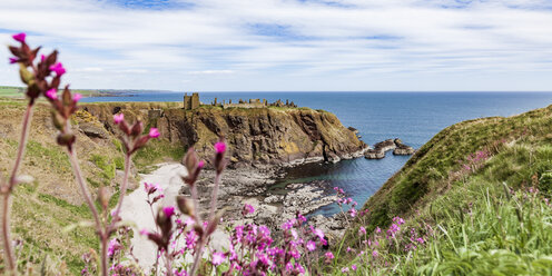 Schottland, Aberdeenshire, Ruinen von Dunnotar Castle am Meer - WDF04571