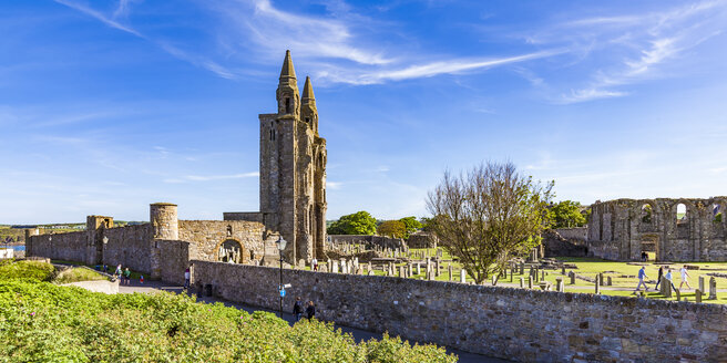 Schottland, Fife, Ruinen der Kathedrale von St. Andrews - WD04574