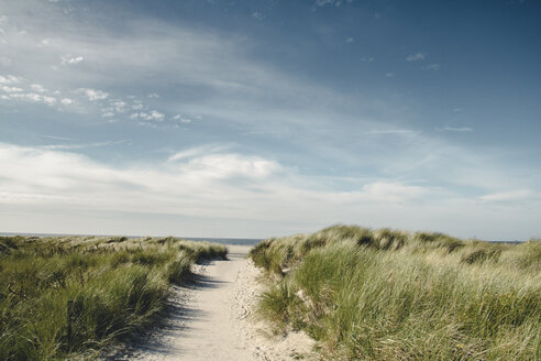 Germany, Spiekeroog, path through dunes - DWIF00915