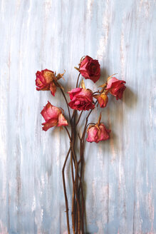 Stilleben, getrocknete Rosen auf Holz - JTF00974