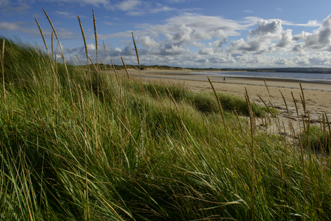 Vereinigtes Königreich, Schottland, Highland, Sutherland, Caithness, Thurso, Dunnet Beach near Castletown, lizenzfreies Stockfoto