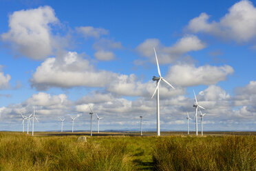 Vereinigtes Königreich, Schottland, Highland, Lybster, Windpark - LBF01911