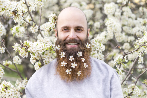 Portrait of laughing hipster with white tree blossoms in his beard - AFVF00418