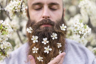 Porträt eines Hipsters mit weißen Baumblüten in seinem Bart - AFVF00420