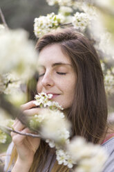 Porträt einer Frau, die an den weißen Blüten eines Obstbaums riecht - AFVF00421