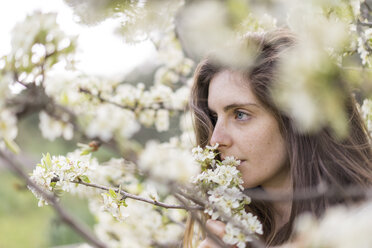 Frau riecht an weißen Blüten eines Obstbaums - AFVF00422