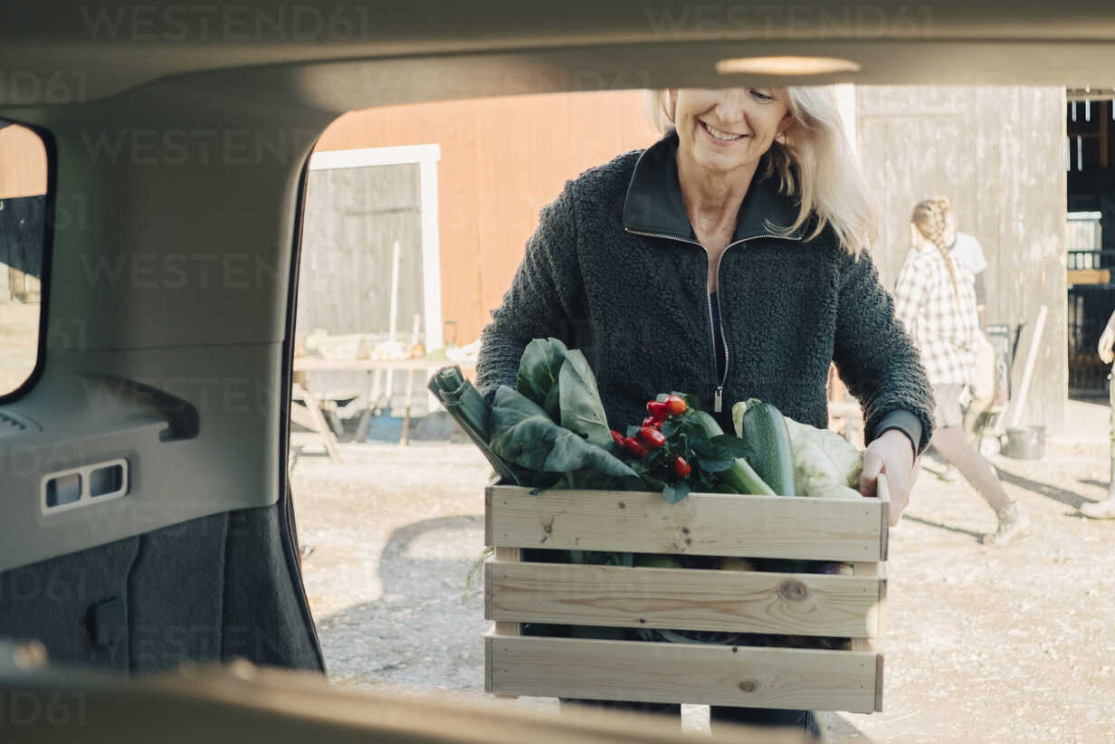 Ältere Frau, die eine Kiste mit Bio-Gemüse in den Kofferraum eines Autos  lädt, lizenzfreies Stockfoto