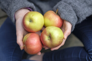 Hände halten vier Äpfel, Nahaufnahme - LBF01922