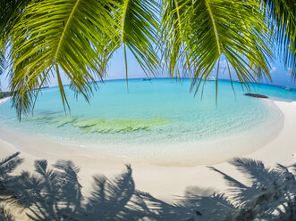 Maledives, Ross Atoll, beach - AMF05681