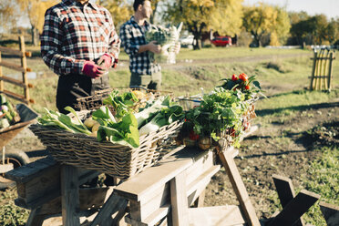 Landwirte und Landwirtinnen verkaufen frisches Biogemüse auf dem Markt - MASF01711