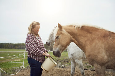 Female farmer feeding horse on field - MASF01892