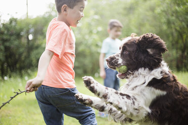 Junge und Hund spielen mit Bruder im Hinterhof stehend - MASF01938