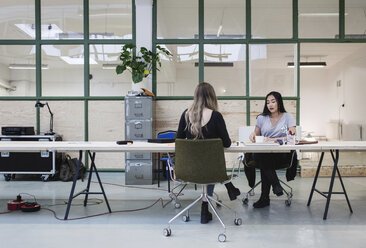 Zwei Frauen arbeiten am Schreibtisch in einem kreativen Büro - MASF01968