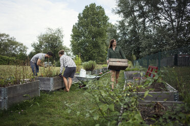 Menschen arbeiten im Gemeinschaftsgarten - MASF02214