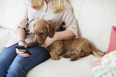 Mittelteil einer Frau mit Hund, die auf dem Sofa zu Hause sitzt und ein Mobiltelefon benutzt - MASF02235