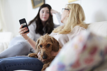 Mutter mit Hund zeigt ihrer Tochter das Handy, während sie zu Hause auf dem Sofa sitzt - MASF02236