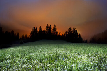 Landschaftliche Ansicht eines grasbewachsenen Feldes gegen bewölkten Himmel - CAVF35537
