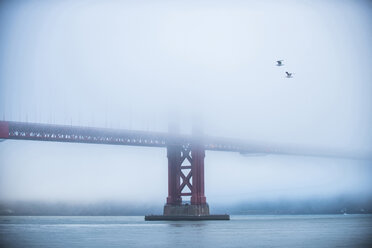 Golden Gate Bridge über der Bucht bei nebligem Wetter - CAVF35550