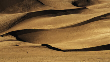 Blick auf den Great Sand Dunes National Park an einem sonnigen Tag - CAVF35600