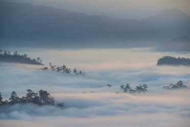 Malerische Aussicht auf eine Wolkenlandschaft, die den Berg am Morgen bedeckt - CAVF35617