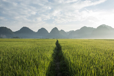 Scenic view of farm against mountains against sky - CAVF35635