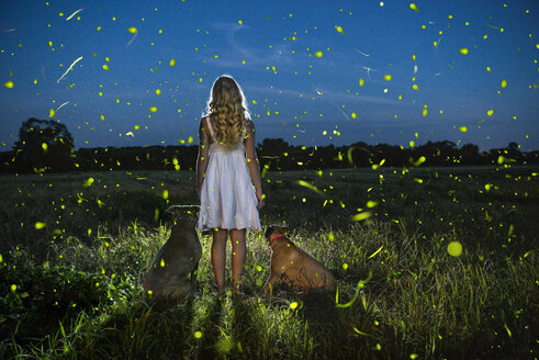 Rückansicht einer Frau mit Hunden auf einem Feld in der Abenddämmerung - CAVF35693