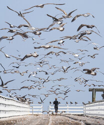 Flock of birds flying over woman standing on pier against sky - CAVF35694