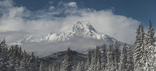 Ruhige Aussicht auf Bäume und schneebedeckte Berge - CAVF35721