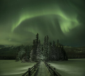 Majestätischer Blick auf Polarlichter über Bäumen - CAVF35735