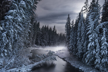 Landschaftlicher Blick auf den zugefrorenen Fluss inmitten schneebedeckter Bäume - CAVF35736
