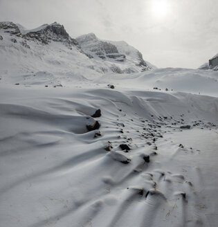 Niedriger Blickwinkel auf die schneebedeckten Berge am Icefields Parkway - CAVF35751