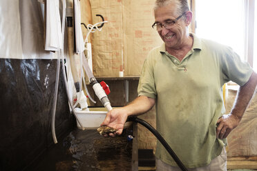 Lächelnder älterer Mann, der eine Auster hält, während er in der Fischereiindustrie steht - CAVF35918