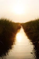 Lake amidst field against clear sky during sunset - CAVF35940