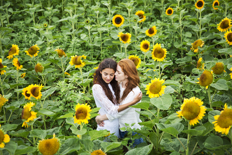 Zärtliches lesbisches Paar im Sonnenblumenfeld stehend, lizenzfreies Stockfoto